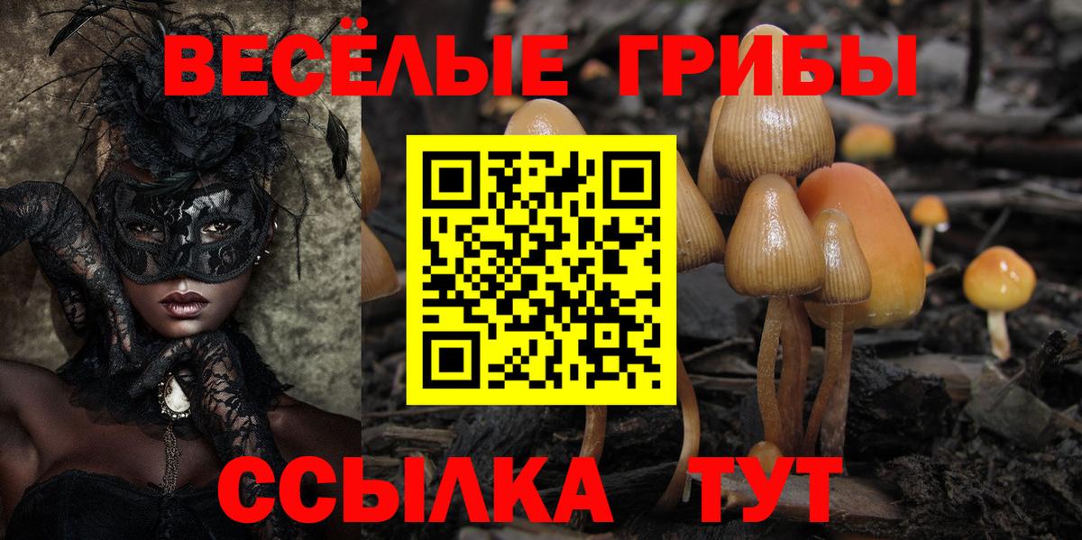 Лянтор  Галлюциногенные грибы прущие грибы  Вход с VPN  Галлюциногенные грибы Magic Shrooms 